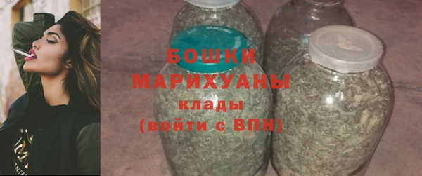 гашик Бородино
