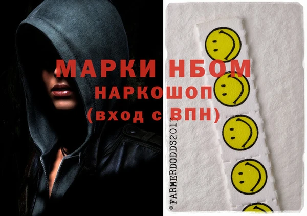 гашик Бородино