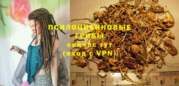 гашик Бородино