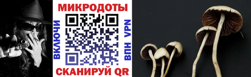 Купить где  Пикалёво  Галлюциногенные грибы мицелий 